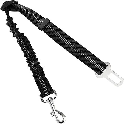 Ceinture de sécurité pour chiens