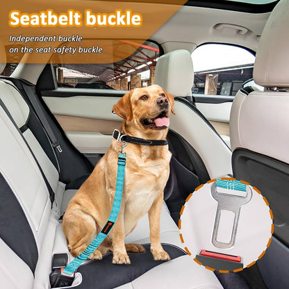 Ceinture de sécurité pour chiens