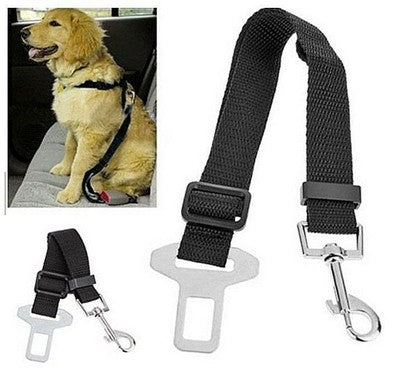 Ceinture de sécurité pour chiens